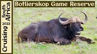 Botlierskop Game Reserve  Mossel Bay South Africa [upl. by Arataj4]