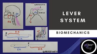 LEVER SYSTEM PART 1 basic concepts of biomechanics Physiotherapy class [upl. by Airelav47]