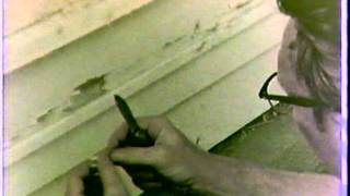 Lead Paint Poisoning 1972 National Bureau of Standards [upl. by Tarr]