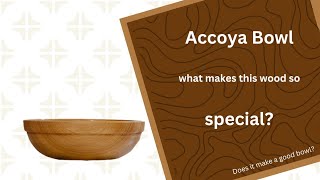 What is Accoya Wood  and does it make a good bowl [upl. by Yllop]