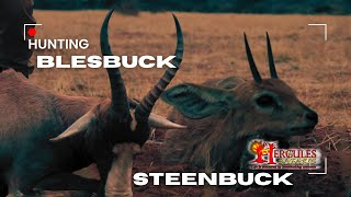 Blesbuck amp Steenbuck Hunt in South Africa  Hercules Safaris Adventure [upl. by Baum535]