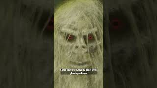 Bigfoot in Illinois The Big Muddy Monster of Murphysboro [upl. by Shreeves]