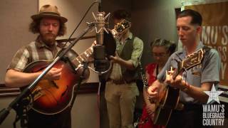 Pokey LaFarge  Day After Day Live at WAMUs Bluegrass Country [upl. by Irap]