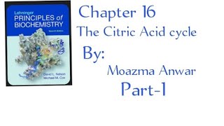 The Citric acid cycle chapter 16 lehninger principles of biochemistry Part1 in Urdu acetylcoA [upl. by Anum]