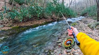 My Biggest Brook Trout of the Year Fly Fishing for brown brook and rainbow trout [upl. by Sosthena]