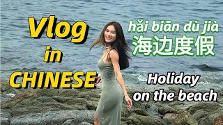 LEARN CHINESE with Chinese Vlog  TAKE METRO In Chinese  IMPROVE YOUR MANDARIN LISTENING SKILL [upl. by Ardnod674]