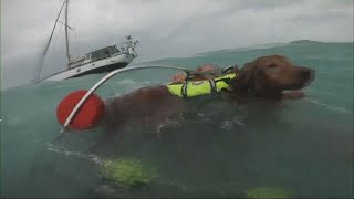 HURRICANE HELENE The US Coast Guard saves a man amp his dog near Sanibel Island in Florida [upl. by Rosenberger875]