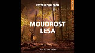 Audiokniha Moudrost lesa [upl. by Waterman]