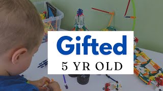 The Vibrant Life of a Gifted 5 Year Old [upl. by Yro]