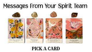 PICK A CARD 💜 Messages From Your Spirit Team 🪽 [upl. by Salguod385]