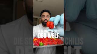 DIE SCHÄRFSTEN CHILIS 🌶️ rezept food [upl. by Bussy]