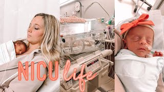 DAY IN THE LIFE WITH A NICU BABY Born at 33 weeks [upl. by Bough]