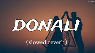 Donali Punjabi Song Slowed Reverb Snehil Pancholi Karam Brar New Song 2024 [upl. by Hnoj]