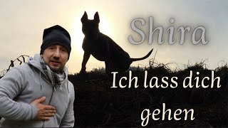 SHIRELI ICH LASS DICH GEHEN Abschiedslied für Shira  Musikvideo [upl. by Kenrick]