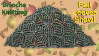 Brioche Knitting Fall Leaves Shawl knitting patterns [upl. by Anivad788]