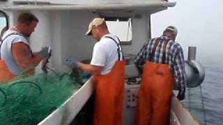 Hauling Gillnets off Chatham MA July 2009 [upl. by Jenna379]