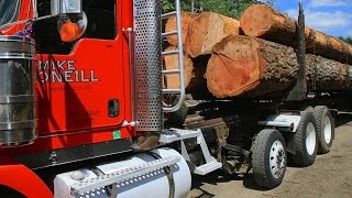 HullOakes Lumber 1 of 10  log trucks arrive [upl. by Anoi533]