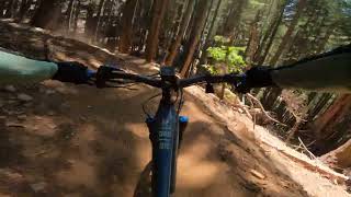 Ibis Oso at Downieville CA Third divide [upl. by Ynnor]