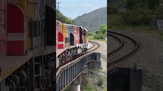 The TranzAlpine … New Zealand’s most scenic train [upl. by Jodoin]