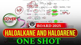 Class 12 Chemistry  Haloalkanes and Haloarenes Complete NCERT in One Shot  Boards 2025 Preparation [upl. by Goer799]