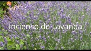 Cómo hacer INCIENSO de LAVANDA Tutorial [upl. by Jane648]