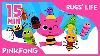 Bugs Life  Ants in My Pants and more  Compilation  Bug Songs  Pinkfong Songs for Children [upl. by Ecadnak902]