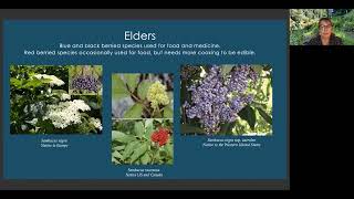 Making Elderberry amp Fire Cider Webinar originally aired in 2020 [upl. by Trista]