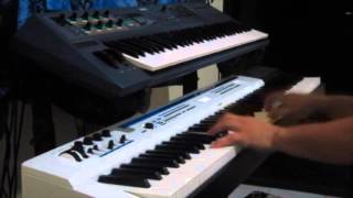 Steely Dan  Josie  Roland Integra 7 rhodes piano [upl. by Ipoillak283]