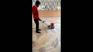 Floor Cleaning machine  floor cleaning business  Single disc machine for carpet n floor [upl. by Llerdna854]