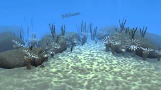 Devonian marine life [upl. by Caundra320]