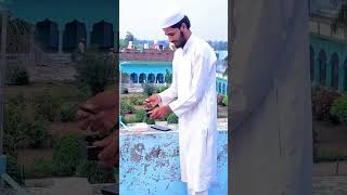 😮trendingshorts😍 video😍 islamic viralvideo😍 subhanallah😍 islamicvideo 😍allahuakbar😍 facts 💯 [upl. by Leahciam]