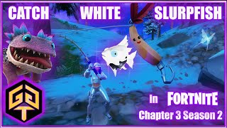 How to Catch White Slurpfish Best Place Fortnite Chapter 3 Mountainous Area Rave Cave Command Cavern [upl. by Phelps235]