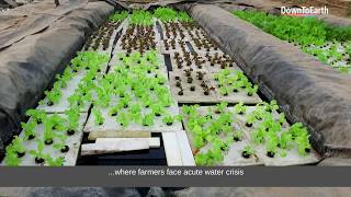 Aquaponics एक्वापॉनिक्स can be a profitable agriculture खेती technique for Indian farmers [upl. by Lakym]