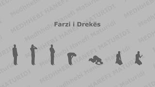 Farzi i Drekës [upl. by Rengaw]