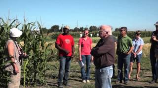 Fusarium Head Blight Cereal Disease and Dryland Grain Corn Disease Crop Walk  Farming Smarter [upl. by Oryaj]