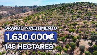 PT Herdade em venda  Beira Baixa  146 hectares  1630000 € [upl. by Walling]