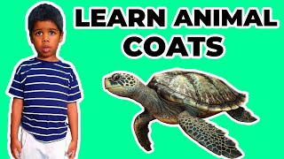 Learn Animal Coats  Toddler Learning Video with Super Renell  Preschool Educational Baby Video [upl. by Winchester]