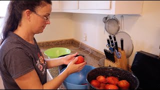 Preserve the Harvest Canning Diced Tomatoes [upl. by Gery362]