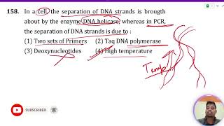 In a cell the separation of DNA strands is brought about by the enzyme DNA helicase whereas in [upl. by Leahcar]