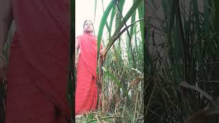 Jaane de jaane short video hawa aane de jaane de [upl. by Roderick]