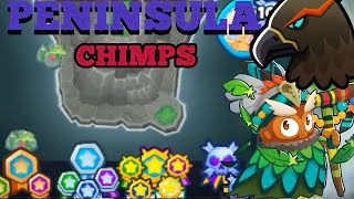 Peninsula CHIMPS  Pouakai Bloons TD6 [upl. by Thessa]