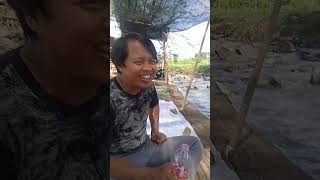 Kalimiring lebaksiu Tegal videoanakviralvideoshortvideoshort [upl. by Nilat]