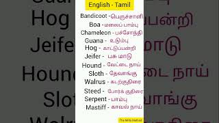 English words for beginners spokenenglish spokenenglishintamil educationalvideo shortsfeed [upl. by Leena312]