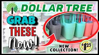 🔥 DOLLAR TREE HAUL Worthy FINDS Too GOOD to Pass Up NAME BRANDS amp Never Seen Before DEALS [upl. by Eidak]