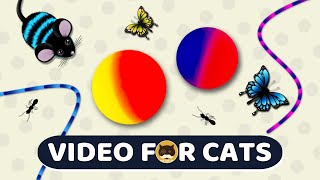 CAT GAMES  Catch the Rolling Ball Mice Ants Strings Butterflies  Video for Cats  CAT amp DOG TV [upl. by Bostow]