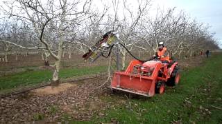 Walnut Tree Pruner Tatura Engineering 0408 241 998 [upl. by Asik991]