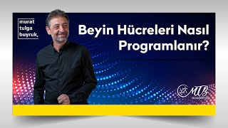 quotBEYİN HÜCRELERİ NASIL PROGRAMLANIRquot  Murat Tulga Buyruk ile Kuantum amp Tasavvuf [upl. by Alletneuq816]