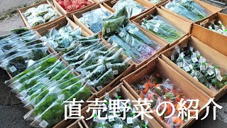 直売野菜の紹介・無農薬野菜・農家・野菜セット・丹波 [upl. by Zela274]