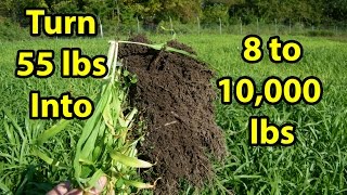 Making your own Fall Leaves Building GARDEN SOIL health organic composting [upl. by Nylirac715]