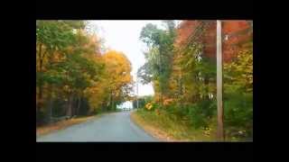 NH Autumn Drive Jose Padilla  Dragonflies Cantoma Remix [upl. by Drake73]